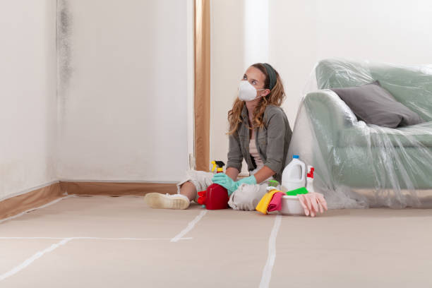 Reliable Commercial Mold Remediation contractor in Markham, IL by WQB Mold Removal